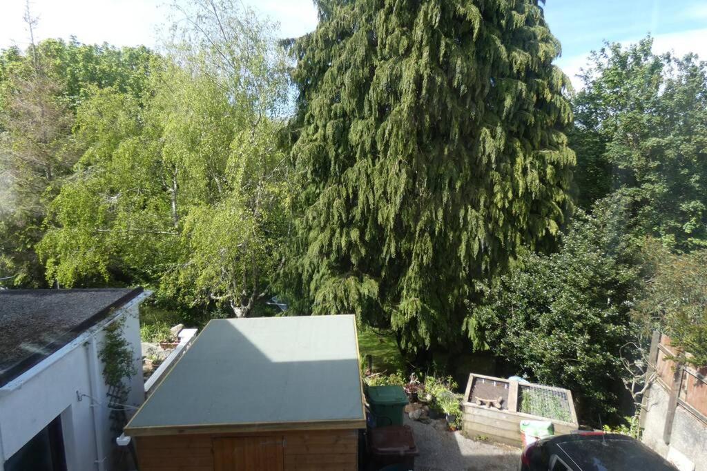 Appartamento Ferney Croft Saint Erth Esterno foto